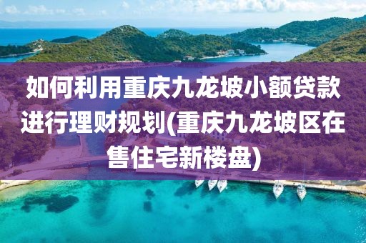 如何利用重庆九龙坡小额贷款进行理财规划(重庆九龙坡区在售住宅新楼盘)