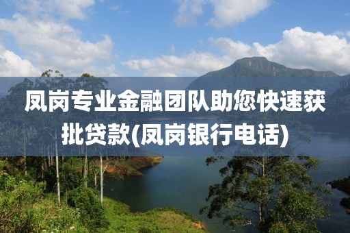 凤岗专业金融团队助您快速获批贷款(凤岗银行电话)