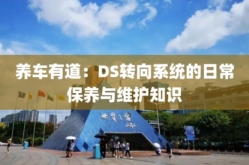 养车有道：DS转向系统的日常保养与维护知识