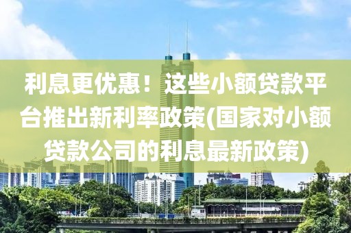 利息更优惠！这些小额贷款平台推出新利率政策(国家对小额贷款公司的利息最新政策)