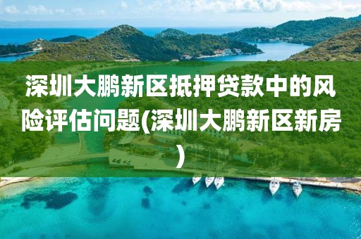 深圳大鹏新区抵押贷款中的风险评估问题(深圳大鹏新区新房)