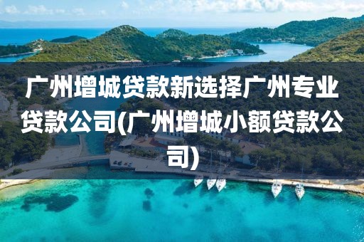 广州增城贷款新选择广州专业贷款公司(广州增城小额贷款公司)