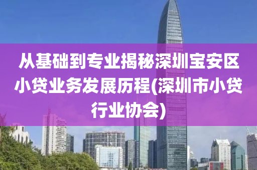 从基础到专业揭秘深圳宝安区小贷业务发展历程(深圳市小贷行业协会)