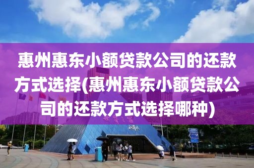 惠州惠东小额贷款公司的还款方式选择(惠州惠东小额贷款公司的还款方式选择哪种)