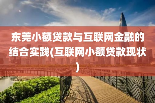 东莞小额贷款与互联网金融的结合实践(互联网小额贷款现状)