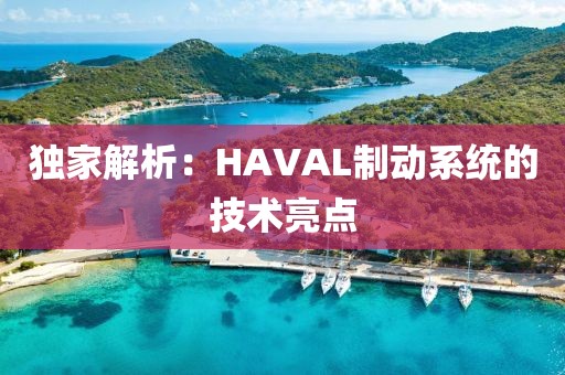 独家解析：HAVAL制动系统的技术亮点