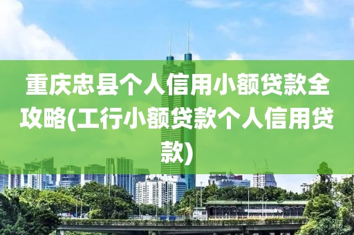 重庆忠县个人信用小额贷款全攻略(工行小额贷款个人信用贷款)