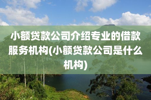 小额贷款公司介绍专业的借款服务机构(小额贷款公司是什么机构)