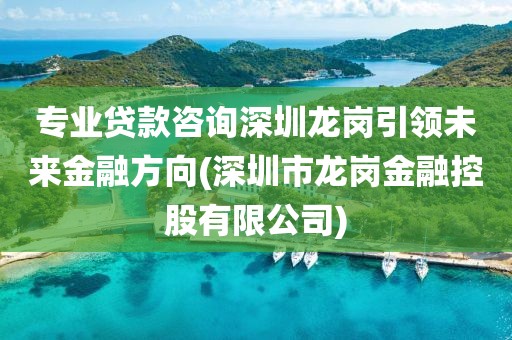 专业贷款咨询深圳龙岗引领未来金融方向(深圳市龙岗金融控股有限公司)