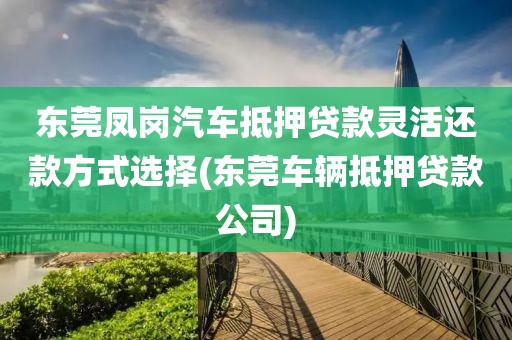 东莞凤岗汽车抵押贷款灵活还款方式选择(东莞车辆抵押贷款公司)