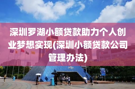 深圳罗湖小额贷款助力个人创业梦想实现(深圳小额贷款公司管理办法)