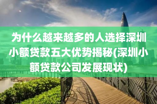 为什么越来越多的人选择深圳小额贷款五大优势揭秘(深圳小额贷款公司发展现状)