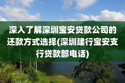 深入了解深圳宝安贷款公司的还款方式选择(深圳建行宝安支行贷款部电话)