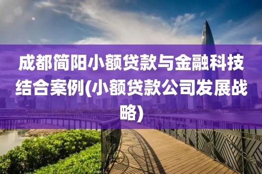 成都简阳小额贷款与金融科技结合案例(小额贷款公司发展战略)