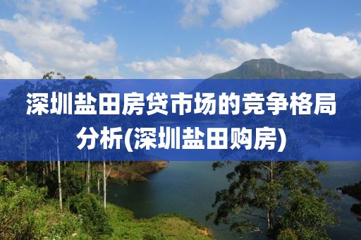 深圳盐田房贷市场的竞争格局分析(深圳盐田购房)