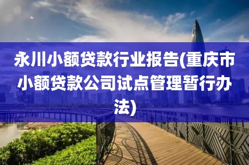 永川小额贷款行业报告(重庆市小额贷款公司试点管理暂行办法)