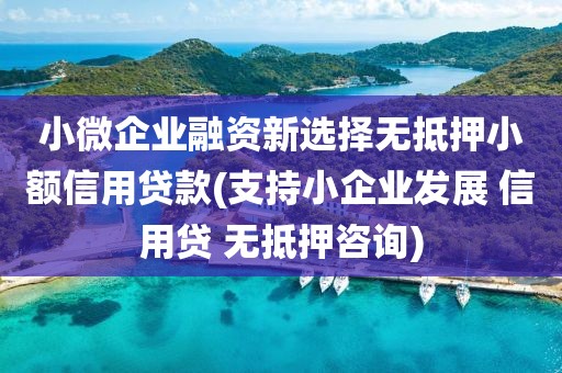 小微企业融资新选择无抵押小额信用贷款(支持小企业发展 信用贷 无抵押咨询)