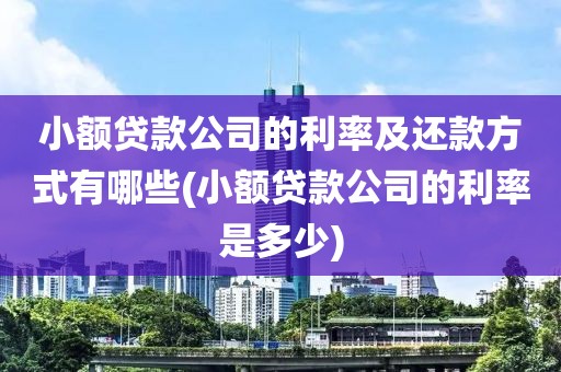 小额贷款公司的利率及还款方式有哪些(小额贷款公司的利率是多少)