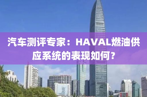 汽车测评专家：HAVAL燃油供应系统的表现如何？