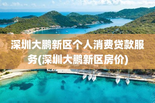 深圳大鹏新区个人消费贷款服务(深圳大鹏新区房价)